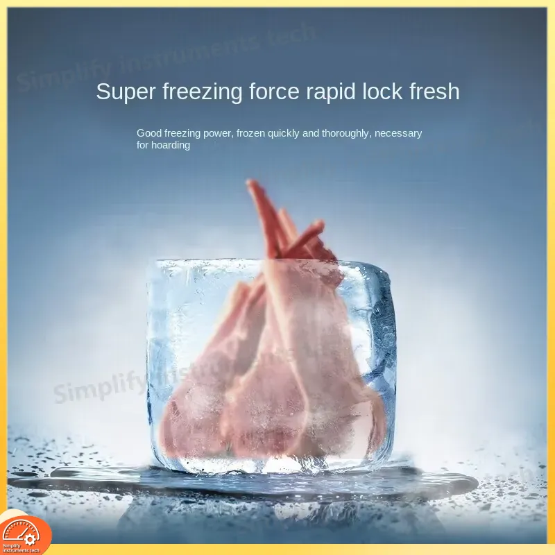 Lemari Es Rumah Tangga Kapasit - Commercial Chest Freezer ulasan dan harga