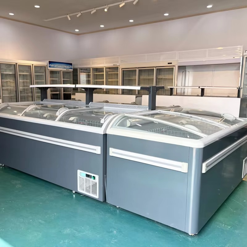 Lemari Pendingin dengan Bagian - Commercial Chest Freezer ulasan dan harga