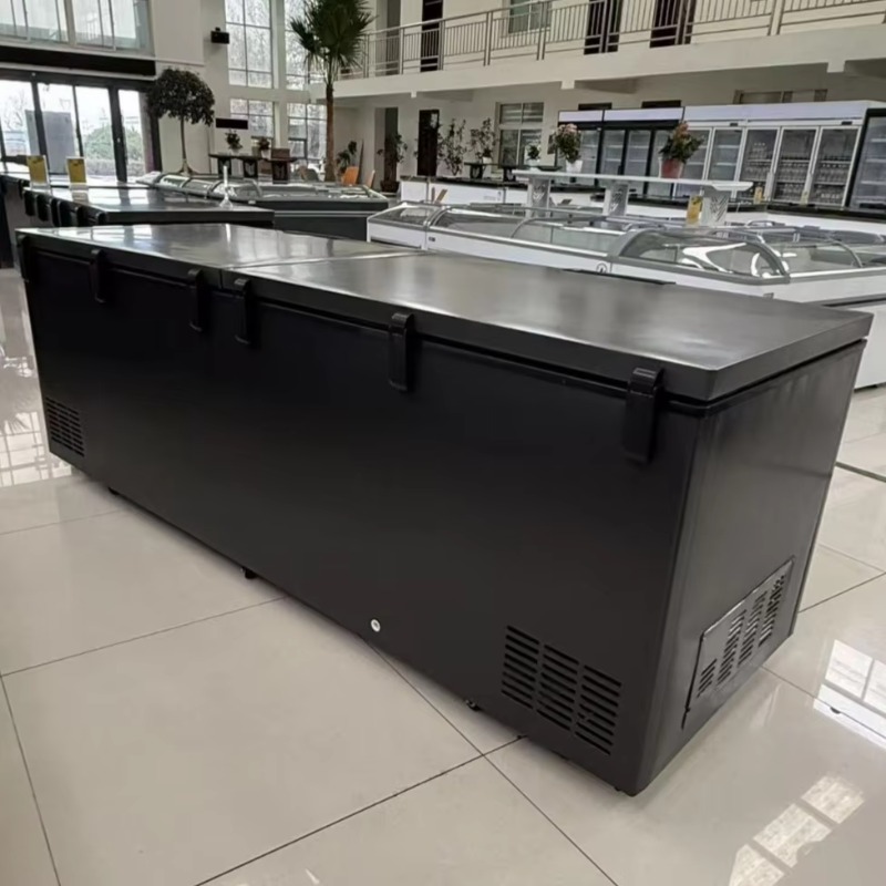 Lemari Pendingin Daging Horizo - Commercial Chest Freezer ulasan dan harga